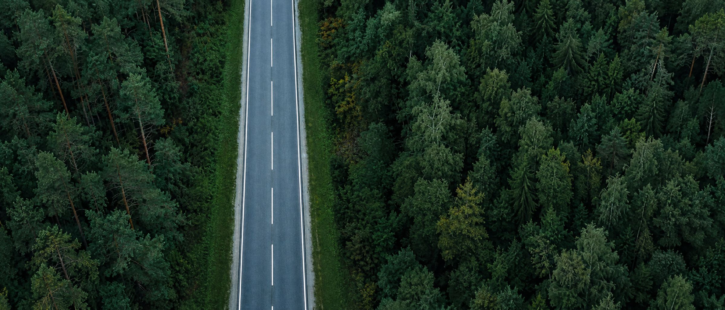 Straße aus der Vogelperspektive, die durch einen dichten Wald führt